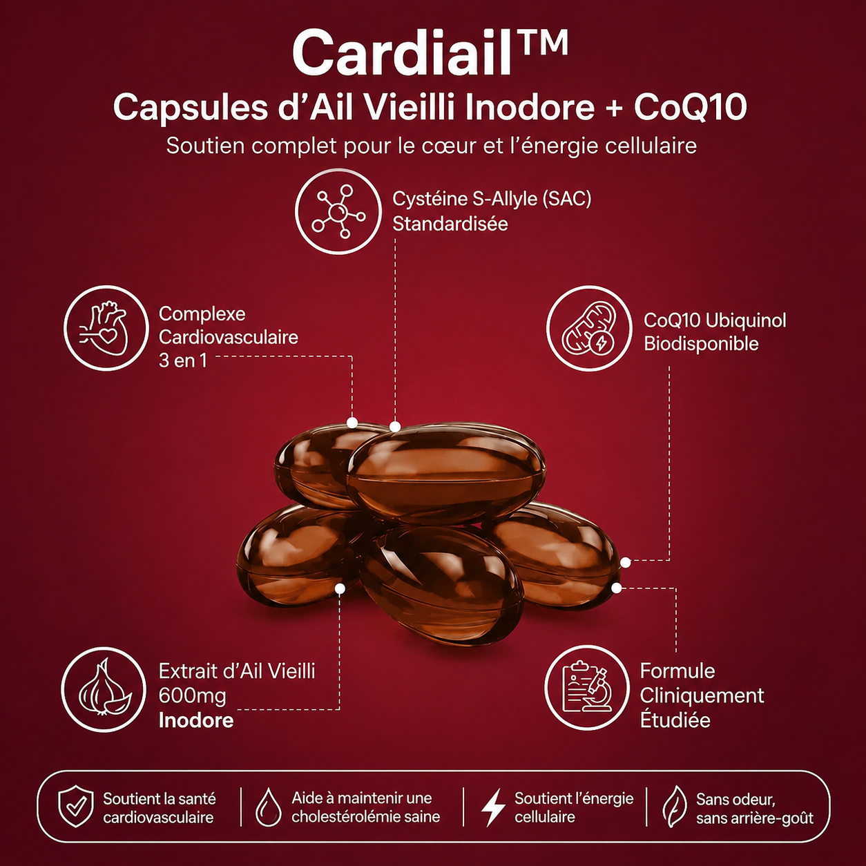 Capsules ail vieilli pour circulation — vue 5